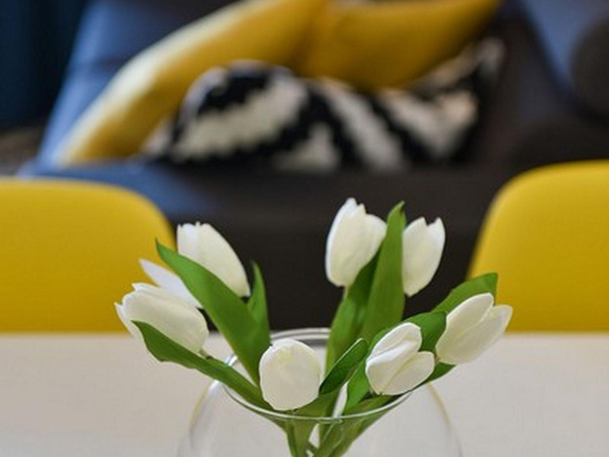 Mediterraneo Garden Apartments Петрчане Номер фото